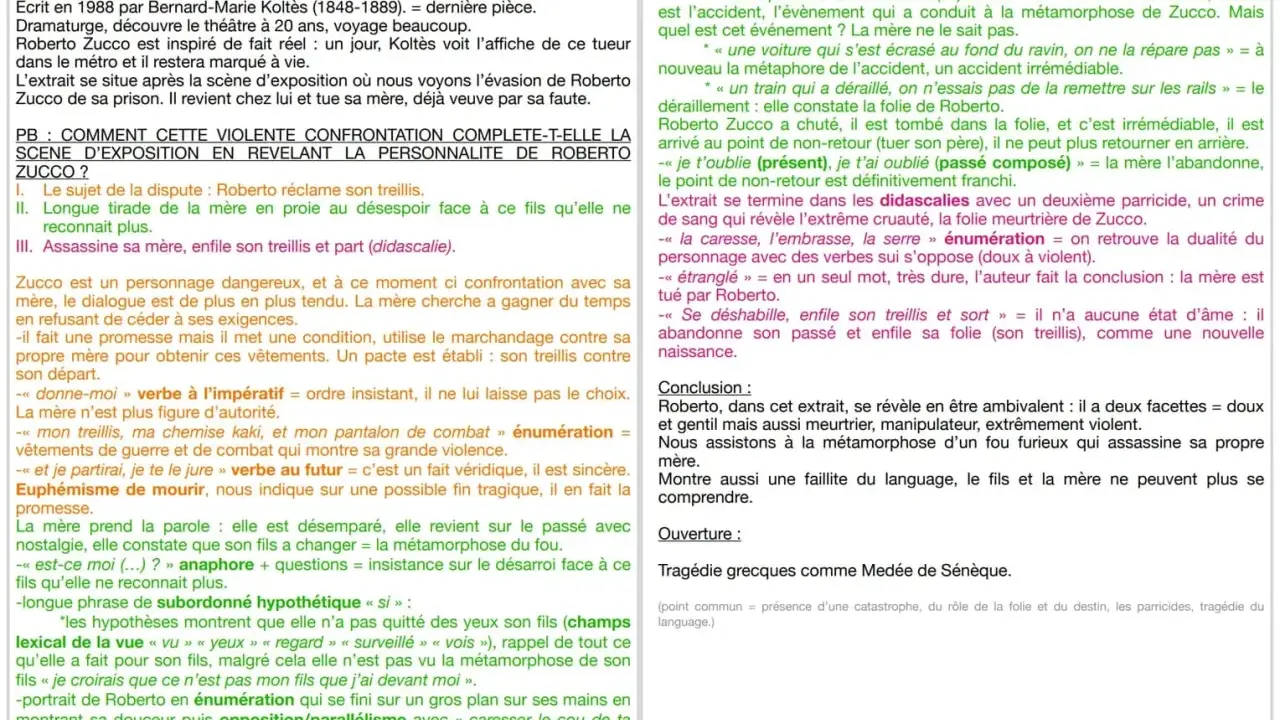 Résumé par chapitre de Roberto Zucco : la mère, face à son fils métamorphosé, le confronte avant d'être assassinée. Le texte analyse cette confrontation et la folie de Roberto.