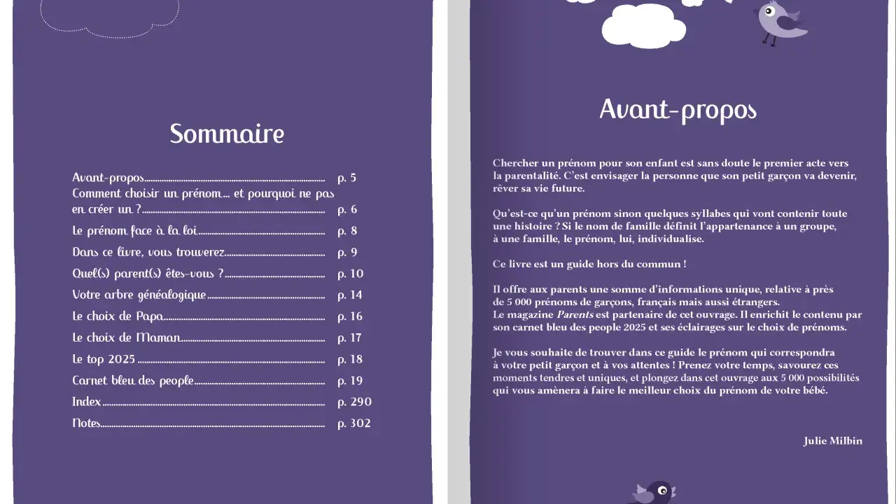 Sommaire d'un guide pour choisir un prénom fantasy homme. Le livre propose 5000 prénoms de garçons, français et étrangers.