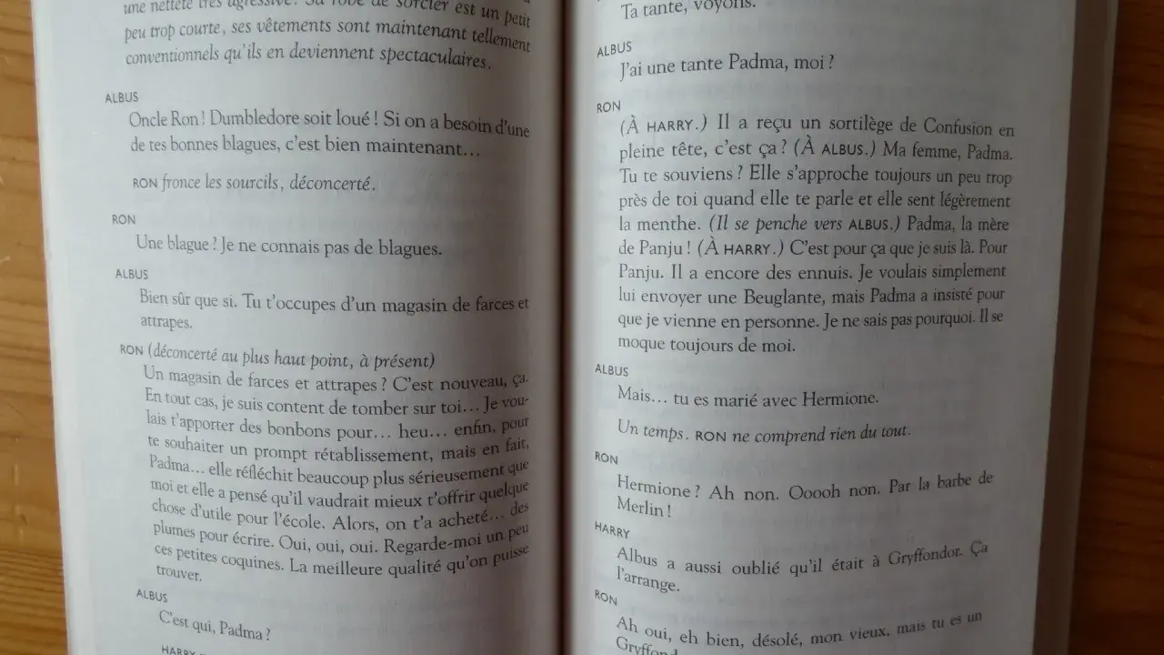 Un extrait de "comment écrire Harry Potter" : Ron, Albus et Harry discutent de Padma, la femme de Ron, et de ses manies.