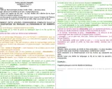 Résumé par chapitre de Roberto Zucco : la mère, face à son fils métamorphosé, le confronte avant d'être assassinée. Le texte analyse cette confrontation et la folie de Roberto.