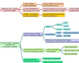 Schéma expliquant qu'est ce qu'une nouvelle réaliste : objectif, moyens (description, sensations, détails), cadre spatio-temporel, chiffres, noms propres.