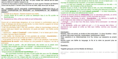 Résumé par chapitre de Roberto Zucco : la mère, face à son fils métamorphosé, le confronte avant d'être assassinée. Le texte analyse cette confrontation et la folie de Roberto.