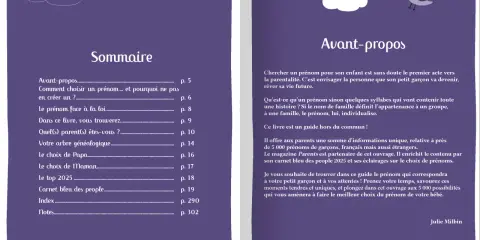 Sommaire d'un guide pour choisir un prénom fantasy homme. Le livre propose 5000 prénoms de garçons, français et étrangers.