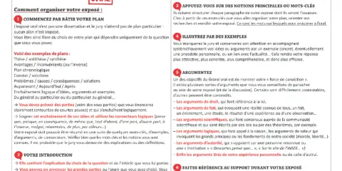 Guide pour comment structurer son grand oral : plan, introduction, mots-clés, exemples, arguments et support.