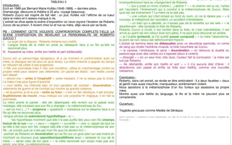 Résumé par chapitre de Roberto Zucco : la mère, face à son fils métamorphosé, le confronte avant d'être assassinée. Le texte analyse cette confrontation et la folie de Roberto.
