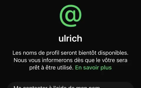 Ulrich se prépare à créer un pseudo à partir de son nom. Les noms de profil seront bientôt disponibles.