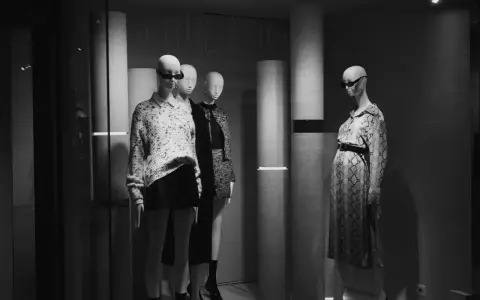 Mannequins dans une vitrine, avec un look nom americain stylé. L'une porte un pull à motifs et une jupe, l'autre une robe à imprimé serpent.