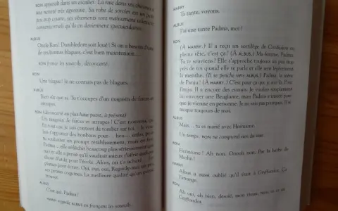 Un extrait de "comment écrire Harry Potter" : Ron, Albus et Harry discutent de Padma, la femme de Ron, et de ses manies.