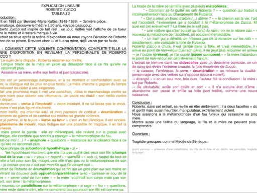 Résumé par chapitre de Roberto Zucco : la mère, face à son fils métamorphosé, le confronte avant d'être assassinée. Le texte analyse cette confrontation et la folie de Roberto.