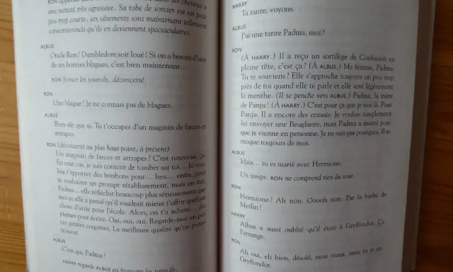 Un extrait de "comment écrire Harry Potter" : Ron, Albus et Harry discutent de Padma, la femme de Ron, et de ses manies.