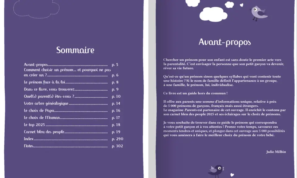Sommaire d'un guide pour choisir un prénom fantasy homme. Le livre propose 5000 prénoms de garçons, français et étrangers.