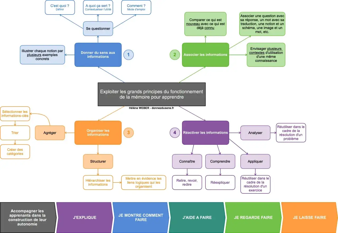 Sch&eacute;ma illustrant les principes de la m&eacute;moire pour apprendre, utile pour un m&eacute;moire sur le t&eacute;l&eacute;travail. Il d&eacute;taille comment donner du sens, associer, organiser et r&eacute;activer les informations.
