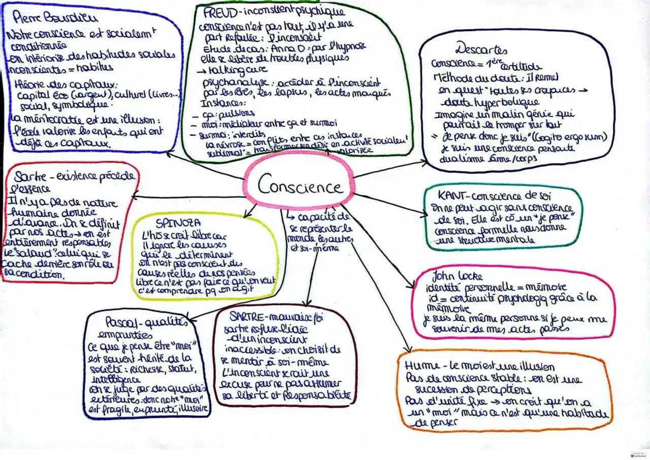 Sch&eacute;ma sur le sujet philo conscience : Bourdieu, Freud, Descartes, Kant, Locke, Hume, Spinoza, Sartre.