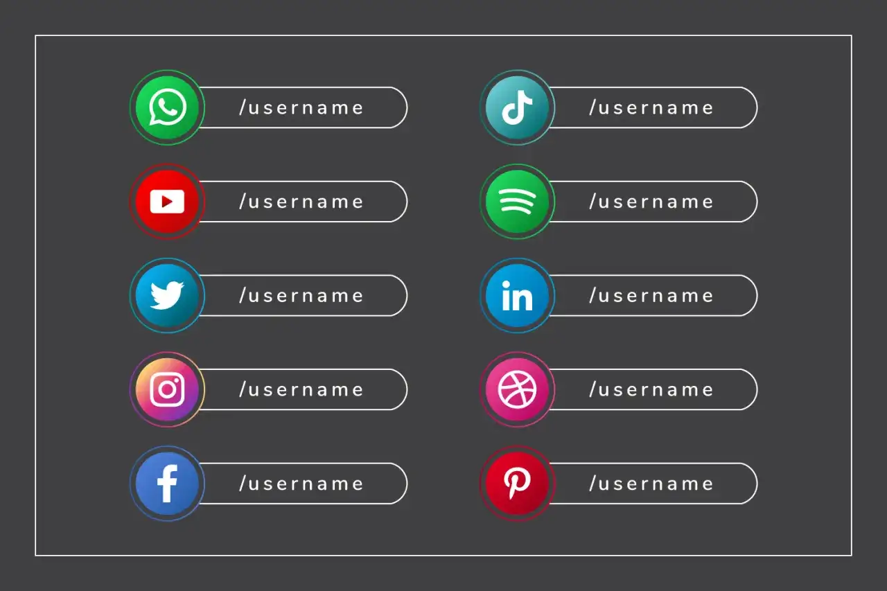 Ic&ocirc;nes de r&eacute;seaux sociaux (WhatsApp, YouTube, Twitter, Instagram, Facebook, TikTok, Spotify, LinkedIn, etc.) avec un champ pour un speudo styler.